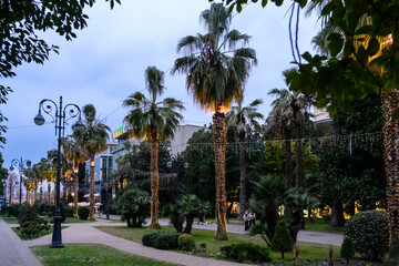 Fototapeta premium The central street in Sochi against the backdrop of palm trees and tropical plants in winter.