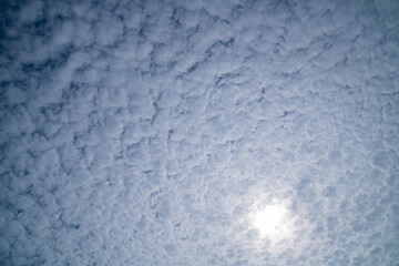   A dramatic sky view showcasing the sun partially obscured by a dense layer of altocumulus clouds, creating a textured and moody atmosphere. The scattered light adds a soft glow to the cloud pattern