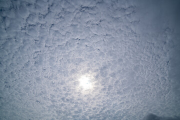   A dramatic sky view showcasing the sun partially obscured by a dense layer of altocumulus clouds,...