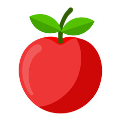 vector  illustation on acerola fruit