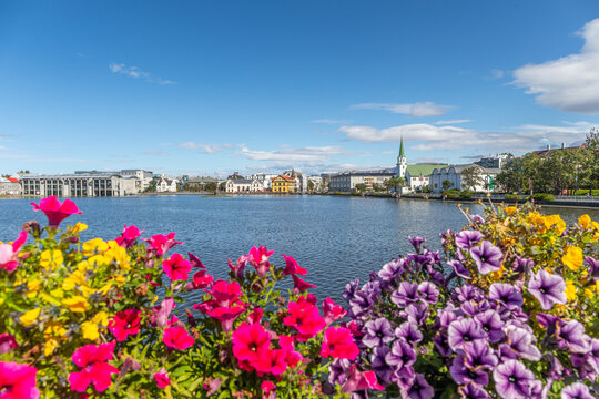 Vue sur Reykjavik et la jolie &eacute;glise Frikirkjan, depuis Skoth&uacute;svegur, le pont fleuri qui relie les berges du Lac Tj&ouml;rnin, &agrave; Reykjavik, en Islande
