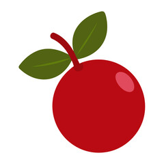 vector illustration of a cranberry fruit red silhouette