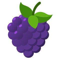 dewberry fruit on white background