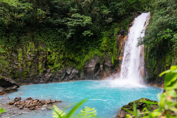 Fototapeta premium Río Celeste – Der himmelblaue Fluss im Nationalpark Tenorio Zauberhafte Farben des Río Celeste im Regenwald von Costa Rica Tiere