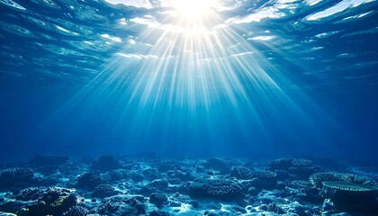 Fototapeta premium Rayos de sol iluminando el fondo marino en aguas cristalinas