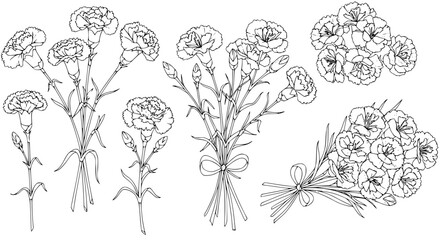 Elegant carnation bouquets, perfect for timeless designs and heartfelt messages of love and remembrance