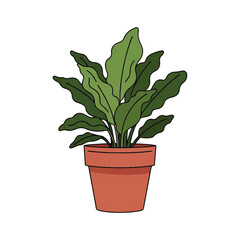 Green Potted Plant with Wavy Leaves.