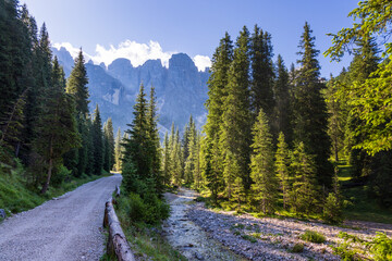 Hiking in Val Venegia - Italy