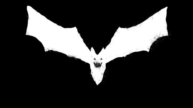 Cartoon doodle creepy Bats fly. Bats fly transition with hand drawn scrible scratches. Isolated Halloween elements. Happy halloween. Flock of flying bats. 2d animation. Scary 4k stock footage.