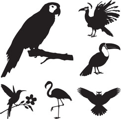 Naklejka premium Diverse bird silhouettes on white parrot toucan