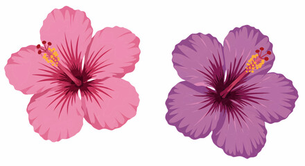 Stylized vector graphic collection of pink and purple exotic hibiscus flowers for floral design