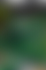 Abstract Gradient in Shades of Green and Gray Creating a Calming and Serene Effect with Subtle Texture and Blending for a Smooth Visual Experience