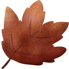 Autumn leaves and fall nature clipart set
Collection of autumn leaves, mushrooms, acorn, and pumpkin illustrations in warm fall colors, perfect for seasonal design and decoration projects.
