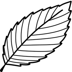 Autumn ColoringAutumn leaves and fall nature clipart set
Collection of autumn leaves, mushrooms, acorn, and pumpkin illustrations in warm fall colors, perfect for seasonal design and decoration projec