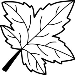 Autumn Coloring Autumn leaves and fall nature clipart set
Collection of autumn leaves, mushrooms, acorn, and pumpkin illustrations in warm fall colors, perfect for seasonal design and decoration proje