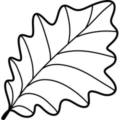 Autumn leaves and fall nature clipart set
Collection of autumn leaves, mushrooms, acorn, and pumpkin illustrations in warm fall colors, perfect for seasonal design and decoration projects.
