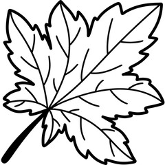 Autumn Coloring Autumn leaves and fall nature clipart set
Collection of autumn leaves, mushrooms, acorn, and pumpkin illustrations in warm fall colors, perfect for seasonal design and decoration proje