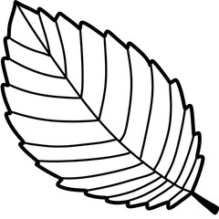 Autumn leaves and fall nature clipart set
Collection of autumn leaves, mushrooms, acorn, and pumpkin illustrations in warm fall colors, perfect for seasonal design and decoration projects.
