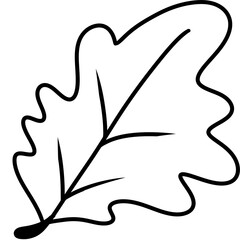 Autumn Coloring Autumn leaves and fall nature clipart set
Collection of autumn leaves, mushrooms, acorn, and pumpkin illustrations in warm fall colors, perfect for seasonal design and decoration proje