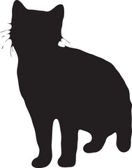 Silhouette Standing Cat Pet Animal 