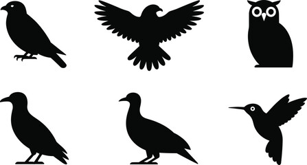 Bird silhouette illustration, flying bird, perched owl, hummingbird vector, black bird shapes, wildlife design, animal posture, nature art