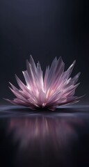 Abstract,  pink crystalline flower, dark background