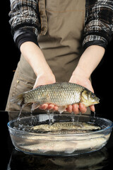 Obraz premium Fresh Wild Carp Fish Held Over Glass Bowl with Water Dripping in Kitchen Preparation Scene