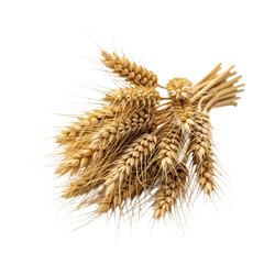 Golden wheat stalks gathered together displaying healthy grain rich harvest agriculture symbol transparent background