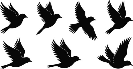 Flying bird silhouettes, wing positions, bird in flight, black vector birds, motion study, wildlife art, nature illustration set