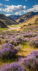 Obraz premium Mountain valley, vibrant purple wildflowers, sunny landscape