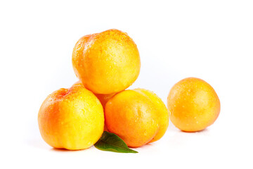 Fresh Golden Nectarines on White Background - Healthy Summer Stone Fruit