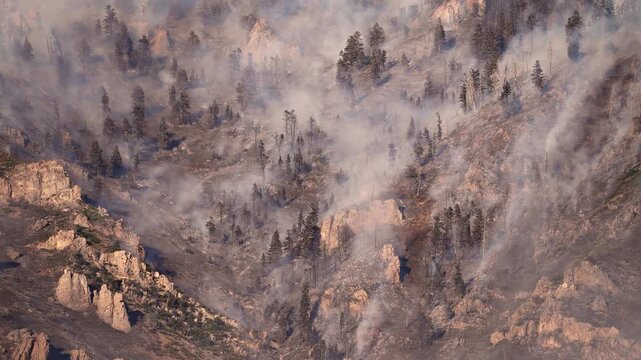 Wildfire burning on the mountain in Provo, Utah in Buckley Draw.