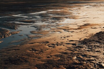Mudflats at sunset, reflecting light