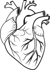 Illustration of the Human Heart A Detailed Black and White  vector