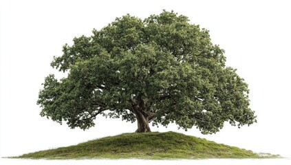 Fototapeta premium Lush tree on small grassy mound, isolated