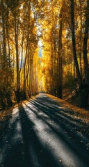 Fototapeta premium Golden autumnal path through a forest (1)