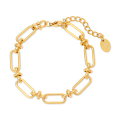 A single golden chain link forms a strong connection, a symbol of security and strength