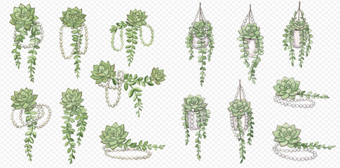 A collection of hand-drawn illustrations of green succulent plants in various white pots and hanging macrame planters.