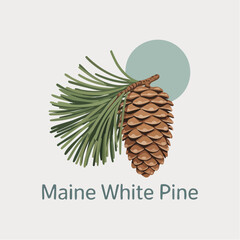 woodsy minimalist Maine white pine cone icon for coastal forest stickers