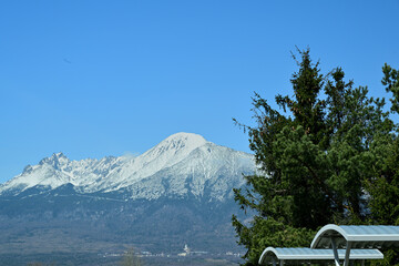 Green forest landscape in the background with snow-covered mountain peaks High Tatras in spring
