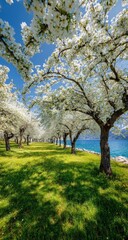 Blooming orchard by a lake on a sunny day
