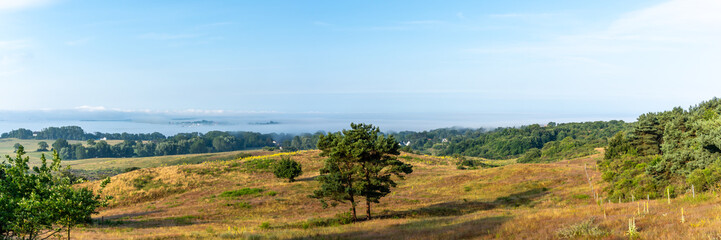 Panoramablick von einem Aussichtspunkt auf Hiddensee im Sommer