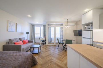 bright studio apartment with herringbone wood floors, a gray sofa with coral pillows, a modern kitchen, and dining area