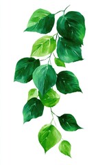 A lush, vibrant, botanical illustration of cascading leaves