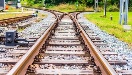 Fototapeta premium A close-up view of railway tracks with a diverging point, showing the rusty metal rails, wooden sleepers, and a switch mechanism, set against a backdrop of green grass and trees.