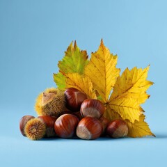Autumnal nuts and leaves on a light blue background.  A cluster of brown nuts, including chestnuts, sits amongst vibrant yellow fall leaves