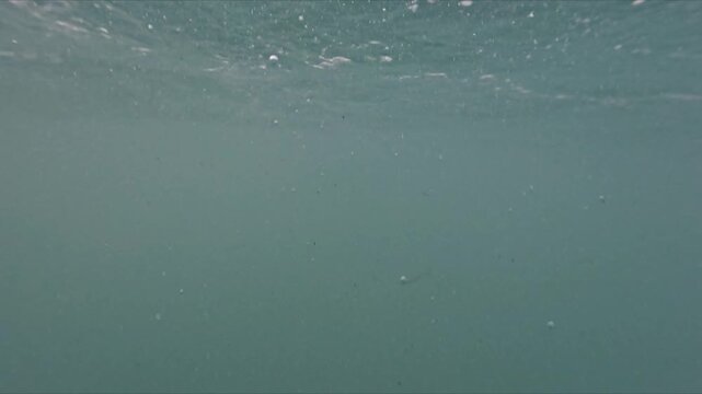 Half underwater shot with bubbles rising in slow motion as waves move above lens in soft sunset lighting.