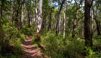 A tranquil pathway winds through a lush, vibrant forest with towering trees