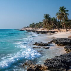 Turquoise coastal scene with palm trees