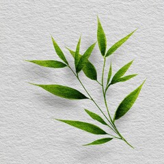 Delicate bamboo leaves on textured paper